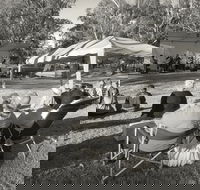 Pioneer Park - Accommodation Brunswick Heads
