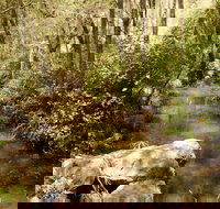 Sandy Creek Track - Accommodation Brunswick Heads