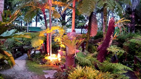 The Fernery At Diamond Waters - Accommodation Brunswick Heads 0