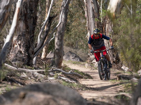 Thredbo Valley Track - Accommodation Brunswick Heads 2