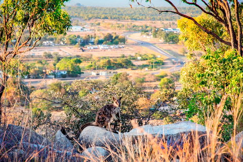 Towers Hill Lookout And Amphitheatre - Accommodation Brunswick Heads 2