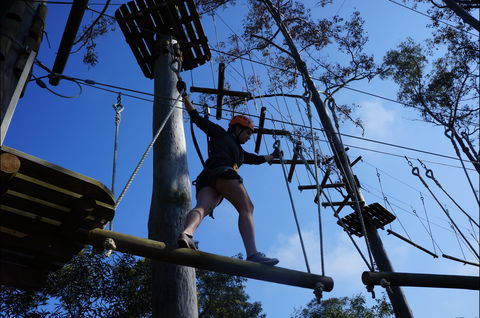 Trees Adventure Nowra Park - Accommodation Brunswick Heads 0