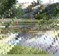 Tumut Wetlands - Accommodation Brunswick Heads