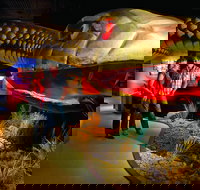 Wadlata Outback Centre - Accommodation Brunswick Heads