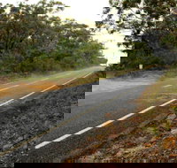 Warrah Trig cycling loop - Accommodation Brunswick Heads