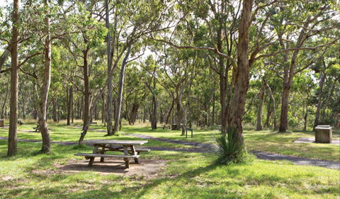 Wollomombi Gorge And Falls Picnic Area - Accommodation Brunswick Heads 0