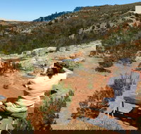 Yeldulknie Conservation Park Hiking Trail - Accommodation Brunswick Heads