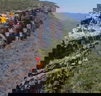 Small-Group Half-Day Abseiling Adventure from Katoomba - Accommodation Brunswick Heads