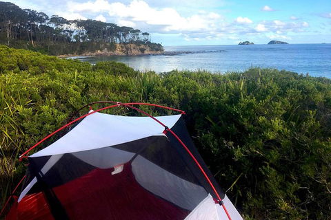 Batemans Bay Overnight Kayak Camping Tour - All Inclusive - Accommodation Brunswick Heads 0