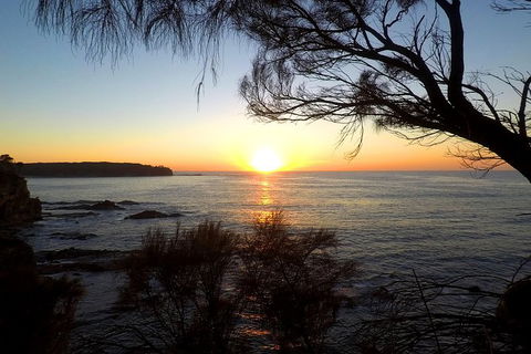 Batemans Bay Overnight Kayak Camping Tour - All Inclusive - Accommodation Brunswick Heads 1