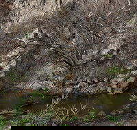Brisbane Ranges National Park - Accommodation Brunswick Heads