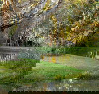 Gateway Island Parklands - Accommodation Brunswick Heads