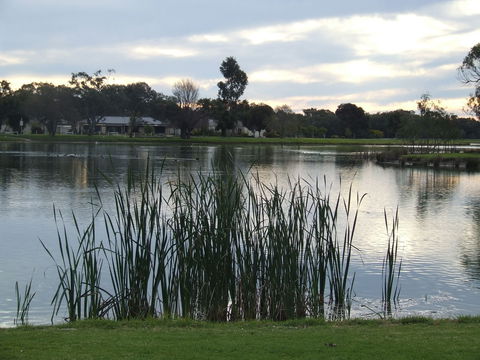 Luke Park And Jerilderie Lake - Accommodation Brunswick Heads 2