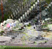 Maroochy Regional Bushland Botanic Garden - Accommodation Brunswick Heads