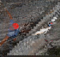 Small-Group Weekend Rock Climbing Adventure from Katoomba - Accommodation Brunswick Heads