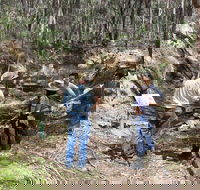 Newnes Ruins Walking Tour - Accommodation Brunswick Heads