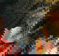 Sunset Eco Rainforest River Cruise - Accommodation Brunswick Heads