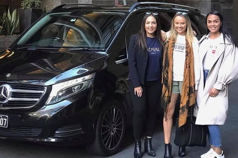Sydney Airport Transfer In A Luxury People Mover (1-6pax) TO Sydney City - Accommodation Brunswick Heads 6