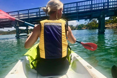 2-Hour Rental Kayak Double In Brunswick River - Accommodation Brunswick Heads 3