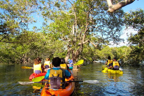 2-Hour Rental Kayak Double In Brunswick River - Accommodation Brunswick Heads 2