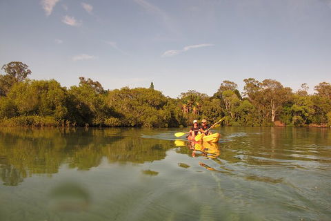 2-Hour Rental Kayak Double In Brunswick River - Accommodation Brunswick Heads 5