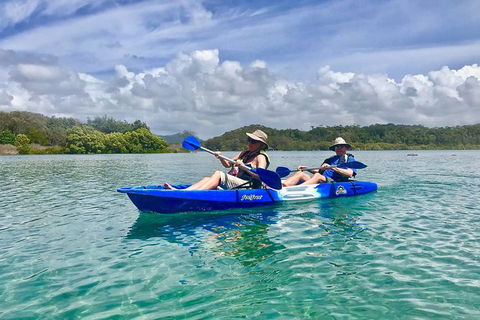 2-Hour Rental Kayak Double In Brunswick River - Accommodation Brunswick Heads 0