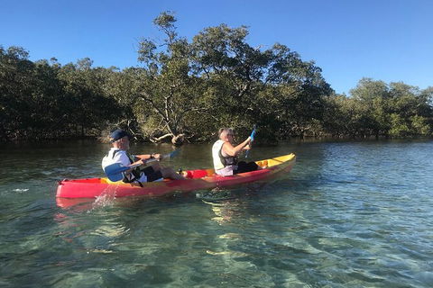 2-Hour Rental Kayak Double In Brunswick River - Accommodation Brunswick Heads 4