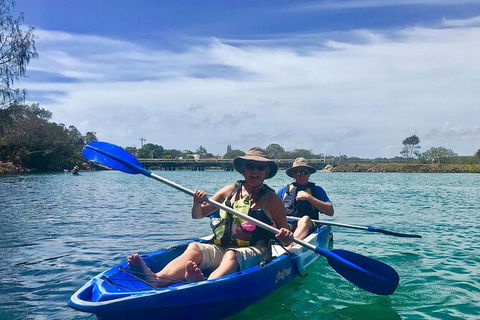 2-Hour Rental Kayak Double In Brunswick River - Accommodation Brunswick Heads 1