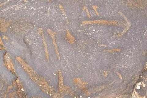 Aboriginal Rock Art - Accommodation Brunswick Heads 4