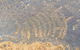 Aboriginal Rock Art - thumb 0
