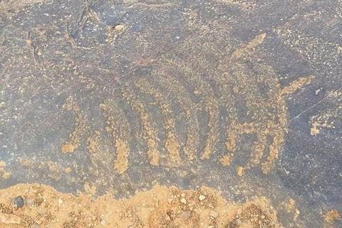 Aboriginal Rock Art - Accommodation Brunswick Heads 0