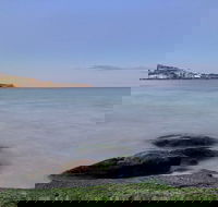 Phone Photography Workshop - Explore Coogee Beach - Accommodation Brunswick Heads