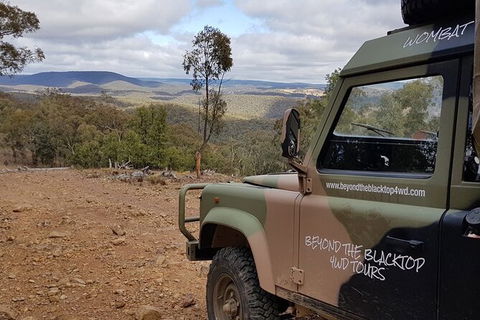 Ninety Minute Wombat Adventures Guided Tour - Accommodation Brunswick Heads 1