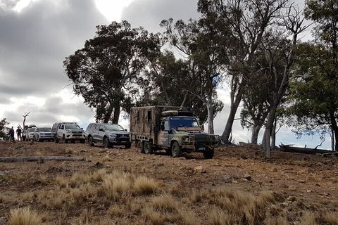 Ninety Minute Wombat Adventures Guided Tour - Accommodation Brunswick Heads 2