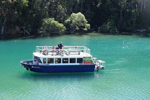 Byron Bay Rainforest Eco-Cruise