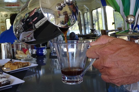 Byron Bay Rainforest Eco-Cruise - Accommodation Brunswick Heads 4