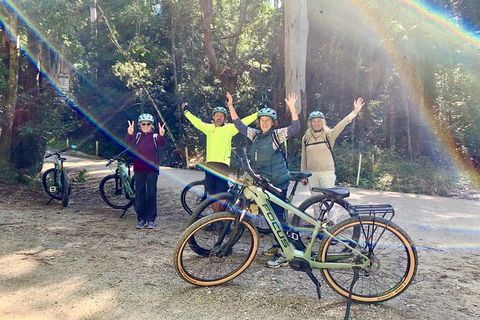 Guided E Bike Tour - Unicorn Falls & National Park - Accommodation Brunswick Heads 3