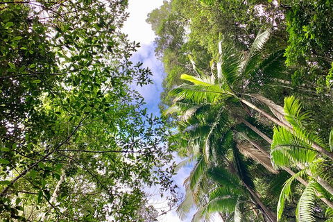 Guided E Bike Tour - Unicorn Falls & National Park - Accommodation Brunswick Heads 5