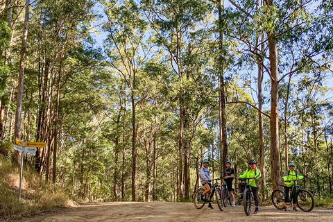 Guided E Bike Tour - Unicorn Falls & National Park - Accommodation Brunswick Heads 10
