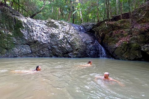 Guided E Bike Tour - Unicorn Falls & National Park - Accommodation Brunswick Heads 12