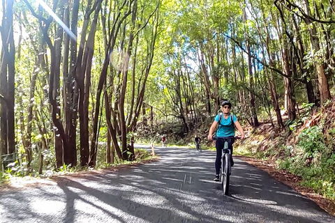 Guided E Bike Tour - Unicorn Falls & National Park - Accommodation Brunswick Heads 16
