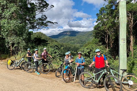 Guided E Bike Tour - Unicorn Falls & National Park - Accommodation Brunswick Heads 13