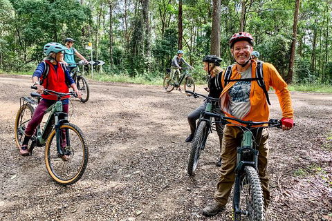 Guided E Bike Tour - Unicorn Falls & National Park - Accommodation Brunswick Heads 18