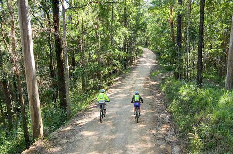 Guided E Bike Tour - Unicorn Falls & National Park - Accommodation Brunswick Heads 7