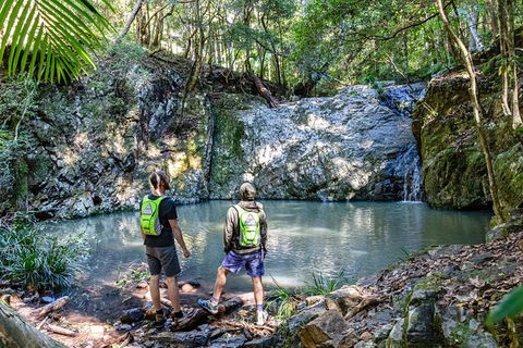 Guided E Bike Tour - Unicorn Falls & National Park - Accommodation Brunswick Heads 2