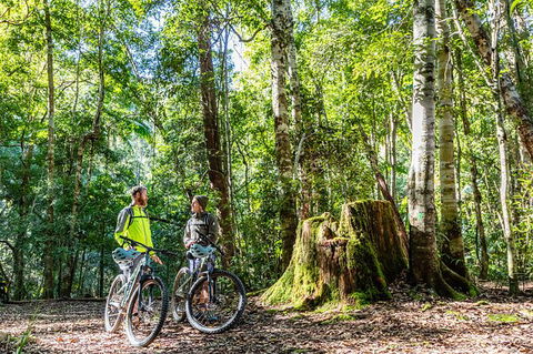 Guided E Bike Tour - Unicorn Falls & National Park - Accommodation Brunswick Heads 14