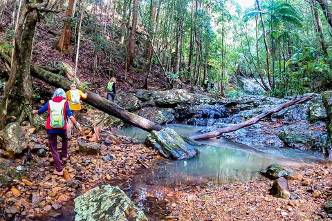 Guided E Bike Tour - Unicorn Falls & National Park - Accommodation Brunswick Heads 17