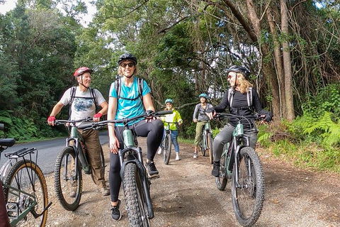 Guided E Bike Tour - Unicorn Falls & National Park - Accommodation Brunswick Heads 11