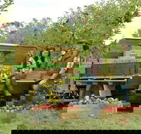 Blue Mountains Botanic Garden and Bilpin Tour from Katoomba with Cider Tasting - Accommodation Brunswick Heads