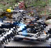 Lower Blue Mountains Tour on a Harley Davidson Motorcycle - Accommodation Brunswick Heads